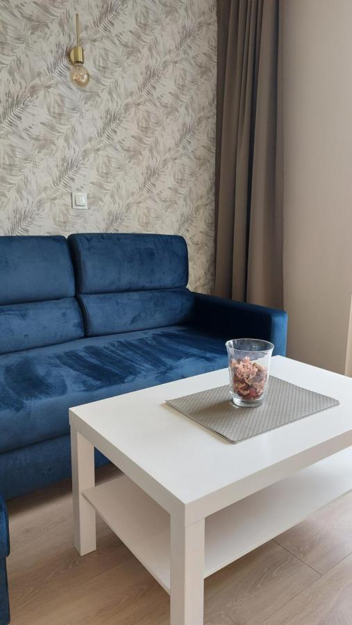 Apartament Skamander ทอรูน ภายนอก รูปภาพ
